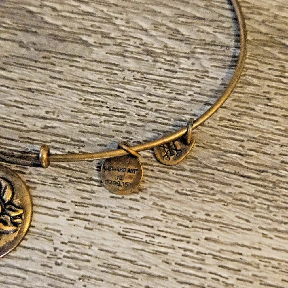 Alex And Ani Lotus Peace Petals Rafaelian Charm Bangle Bracelet
